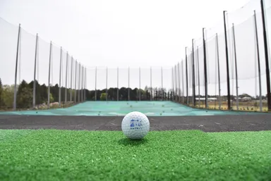 社内風景　ボール