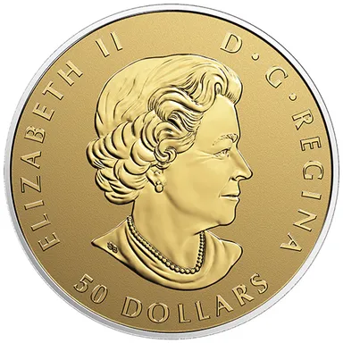 金貨表面(共通デサイン)