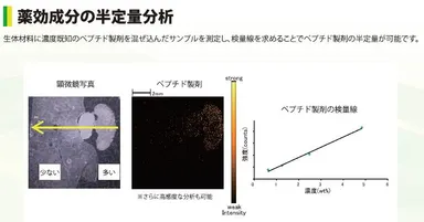 薬効成分の半定量分析