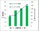 図2　ホッカイトウキの収穫量とリグスチリドの含有量