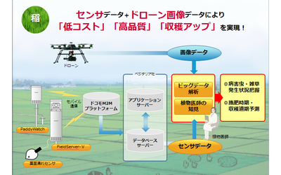 news feed image