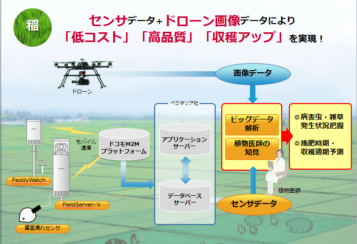 新潟市における ドローン実証プロジェクト に関する連携協定を締結 ベジタリア株式会社のプレスリリース