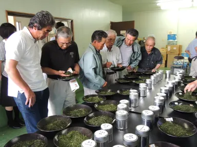 品評会 審査風景-5