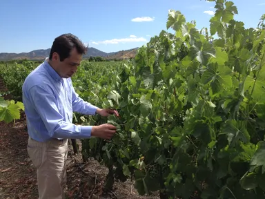 ワインメーカー