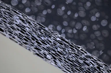 発泡ダクト断面