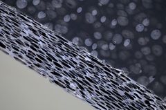 発泡ダクト断面