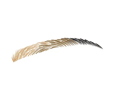 ベーシックブロウ