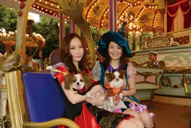 ワンちゃんと楽しめるハロウィン