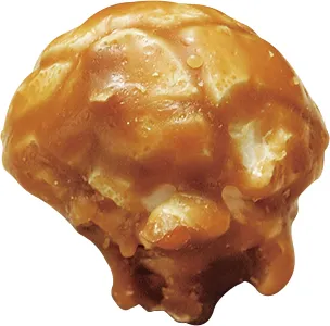 濃厚キャラメルポップコーン 生地2