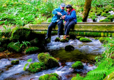 愛する人とwith Coffee受賞作品『妖精の棲む森にて』