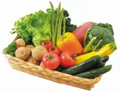ヘルシー賞：旬な無農薬野菜と果物ギフト ※写真はイメージです
