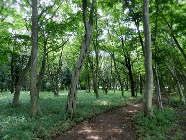 稲毛海浜公園 1