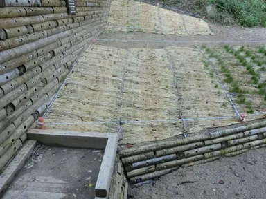 事例(2)フルボ酸未散布区