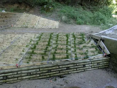 事例(2)フルボ酸散布区