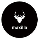 【maxilla】ONE OK ROCK、Suchmos等MVを手がける新進気鋭の映像集団