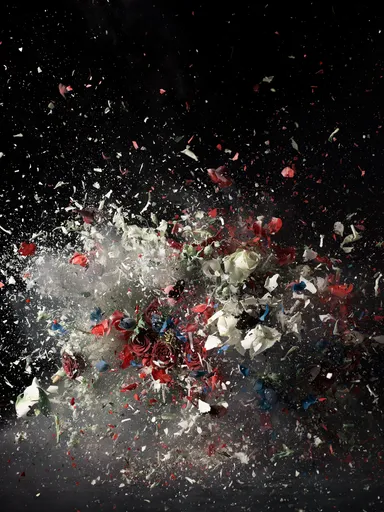 (C)Ori Gersht, Time After Time：Blow Up No.1,2007