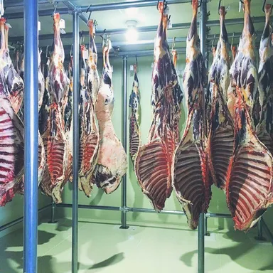 加工場(ポロワッカ)のエゾシカ 1