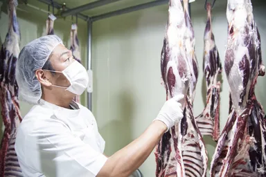 加工場(ポロワッカ)のエゾシカ 2