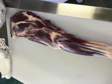 加工場(ポロワッカ)のエゾシカ 3