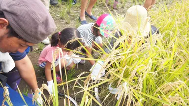 プレミアムウォーター熊本地震復興イベント 2