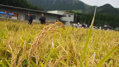 プレミアムウォーター熊本地震復興イベント 3