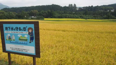 プレミアムウォーター熊本地震復興イベント 4