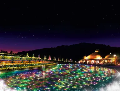 フラワーイルミネーション「ジュエルガーデン」 ＊画像はイメージです