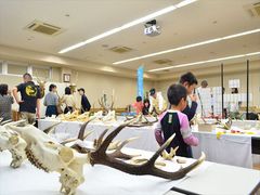2015年の様子(2)