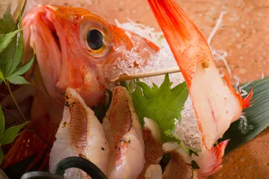 地魚のお刺身盛り合わせ