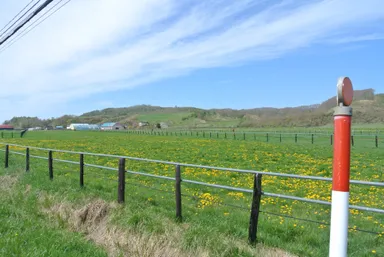 北海道拠点候補