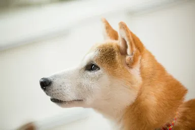 イベント画像 2