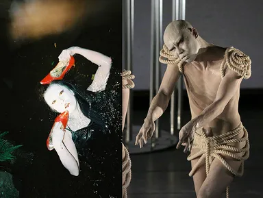 「大駱駝艦」から精鋭が参戦