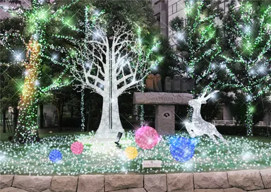 今年のクリスマスイルミネーション(イメージ) 1