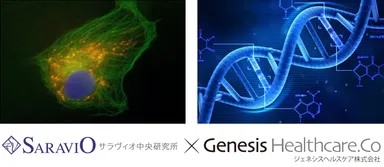 パイオニア同士による薄毛対策共同研究が遂にスタート