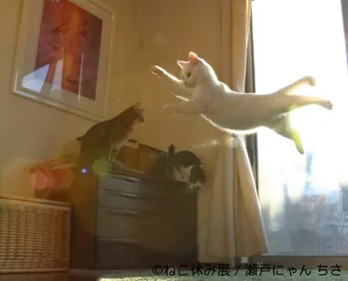 展示予定作品(2)