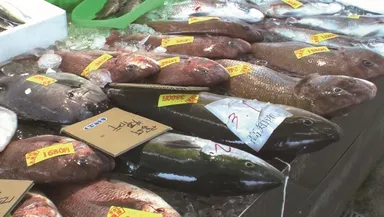 新鮮市場きむら