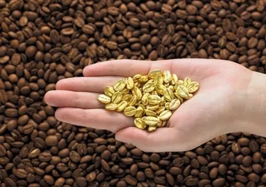 ［A賞］18金コーヒー豆約198g(66粒)