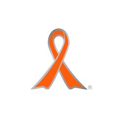 子ども虐待防止オレンジリボン運動啓発イベント
「オレンジゴスペル全国ツアー2016」
11月3日より全国11か所で実施