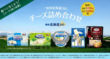 雪印北海道100チーズ詰め合わせ