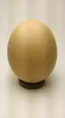 ダチョウの卵イメージ