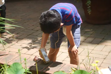 ワークショップコレクション ミニ（エレキハンティング）