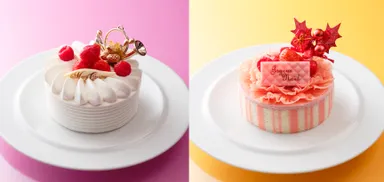 (左)ミミ　(右)ミニョンヌ