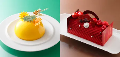 (左)エマーブル　(右)コケット