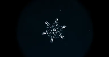 映画のモチーフ　雪の結晶