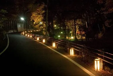 貴船街道
