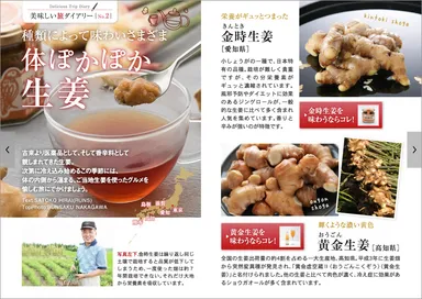 「旅色 Seasonal Style」Vol.32　美味しい旅ダイアリー