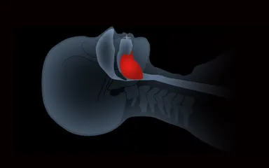 あお向け寝時イメージ