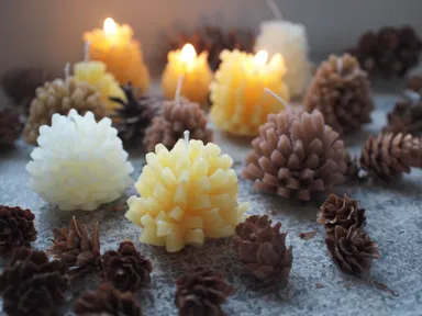 キャンドル作り体験「蜜蝋まつぼっくりキャンドルづくりワークショップ」