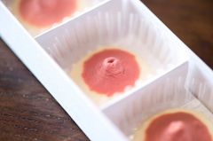 CHOCONIP(チョコニップ)