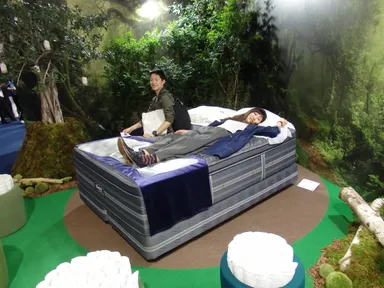 思い切り体感！